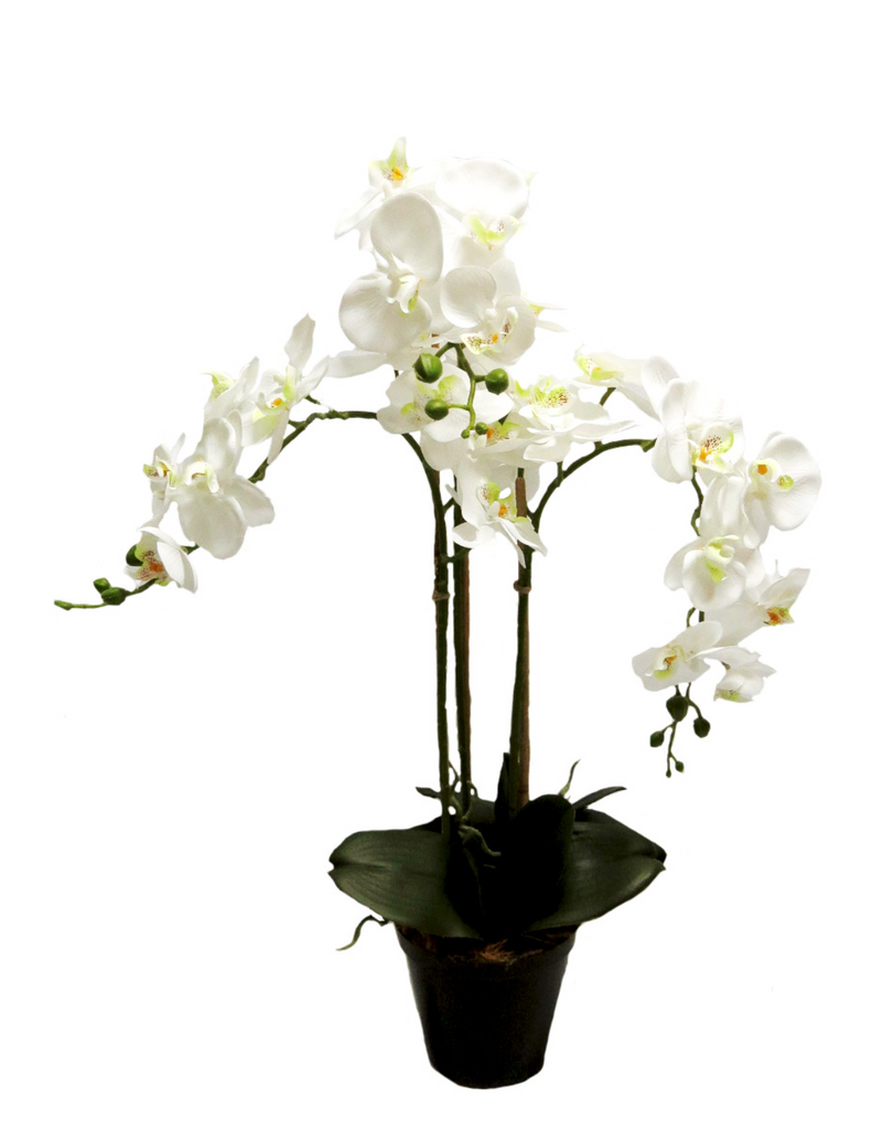 70cm Magnificent Faux Orchid - NetDécor 
