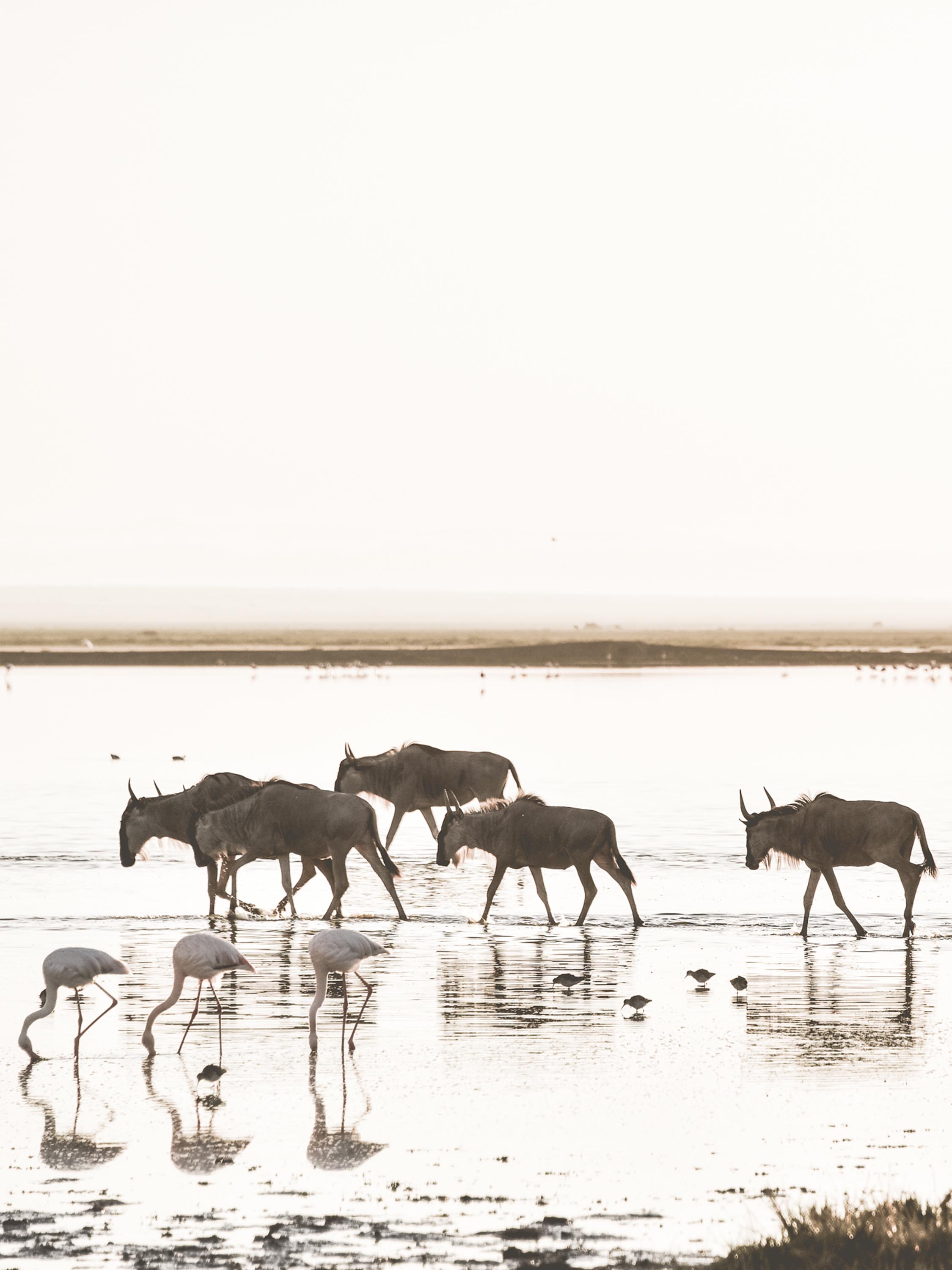 Limited Edition Together Landscape - NetDécor 