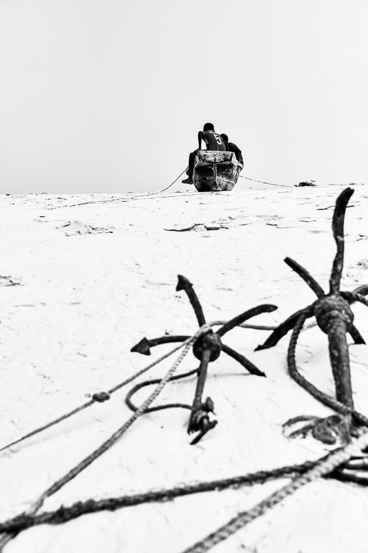 Zanzibar Anchored - NetDécor 