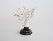 Coral on Stand - NetDécor 